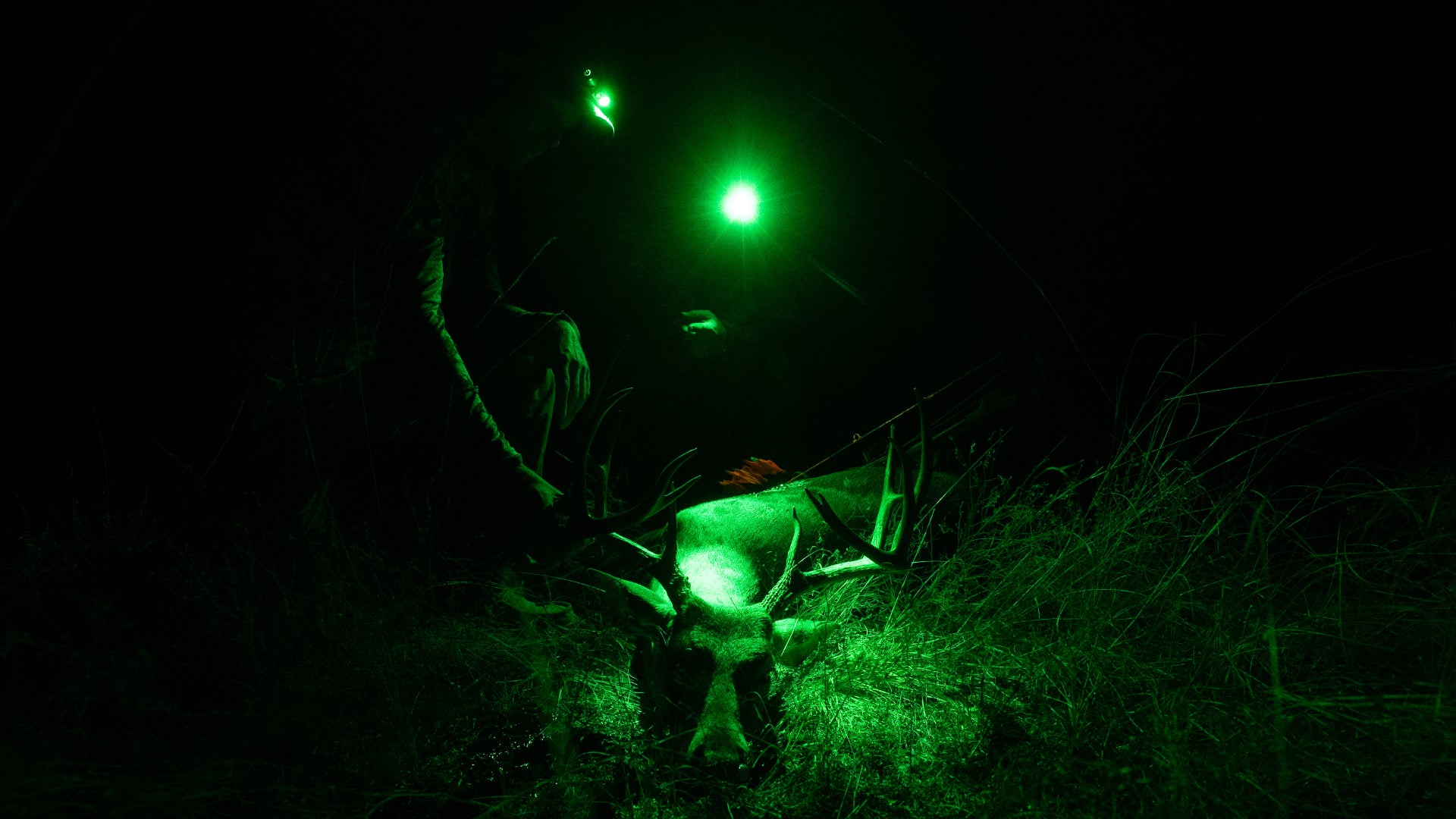 Backcountry Duo Headlamp, Backcountry Duo Green Headlamp, Ultra Green LED headlamp, headlamp for hunters, green LED hunting headlamp, rechargeable headlamp for hunting, Peax headlamp with green LED, USB-C rechargeable headlamp