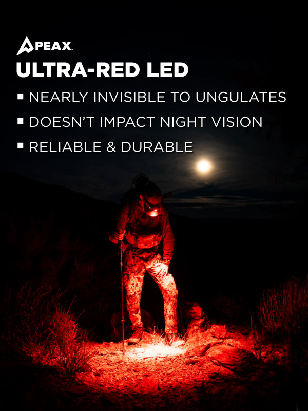 RED-LED-Promo-600x800_66a171f0-1f72-4440-84a5-14dd10ae068a.jpg